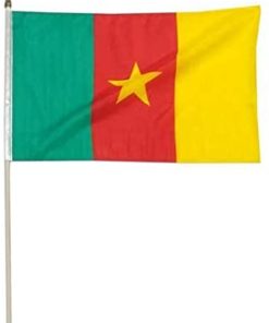 Cameroon 12x18" Stick Flag