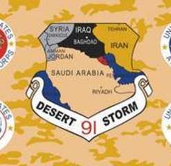 Desert Storm 3X5 Flag