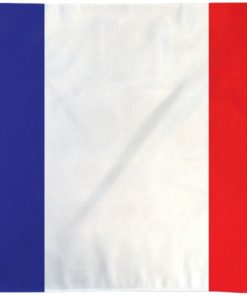 France 2'x3' Poly Flag