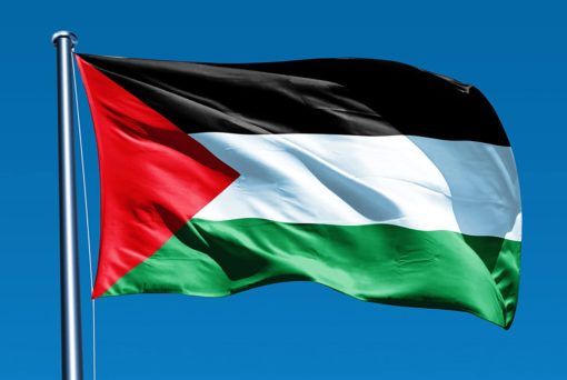 Palestine 3'x5' Poly Flag