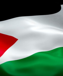 Palestine 2'x3' Poly Flag