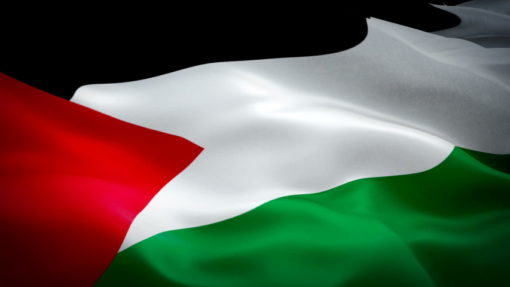 Palestine 3'x5' Poly Flag