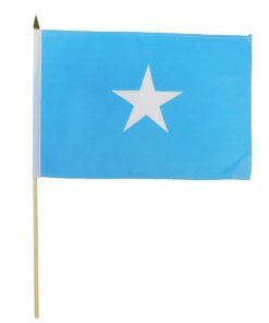 Somalia 12"x18" Stick Flag