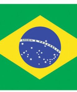 Brazil 2'x3' Nylon Flags