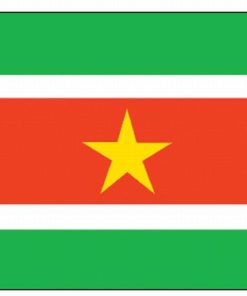 Suriname 5'x8' Nylon Flag