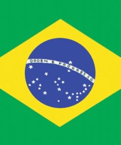 Brazil 8'x12' Nylon Flag