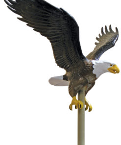 Aluminum Flying Eagle 11"Natural Top