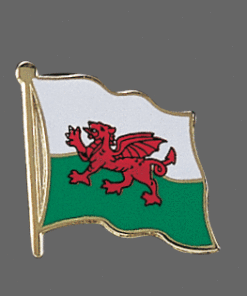 Flag Lapel Pins - Flag World Company