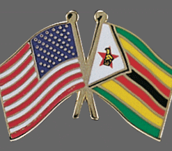 Flag Lapel Pins for sale - Flag World Company