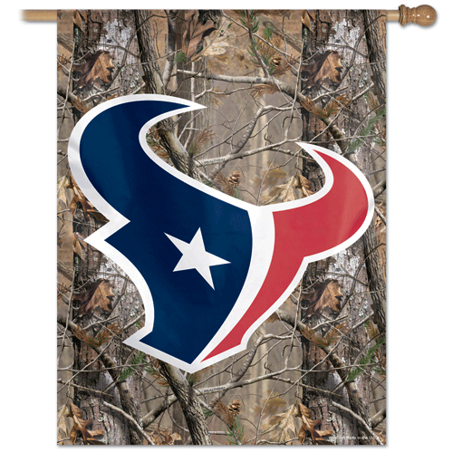 Houston Texans Banner