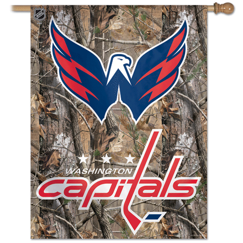 Washington Capitals Banner