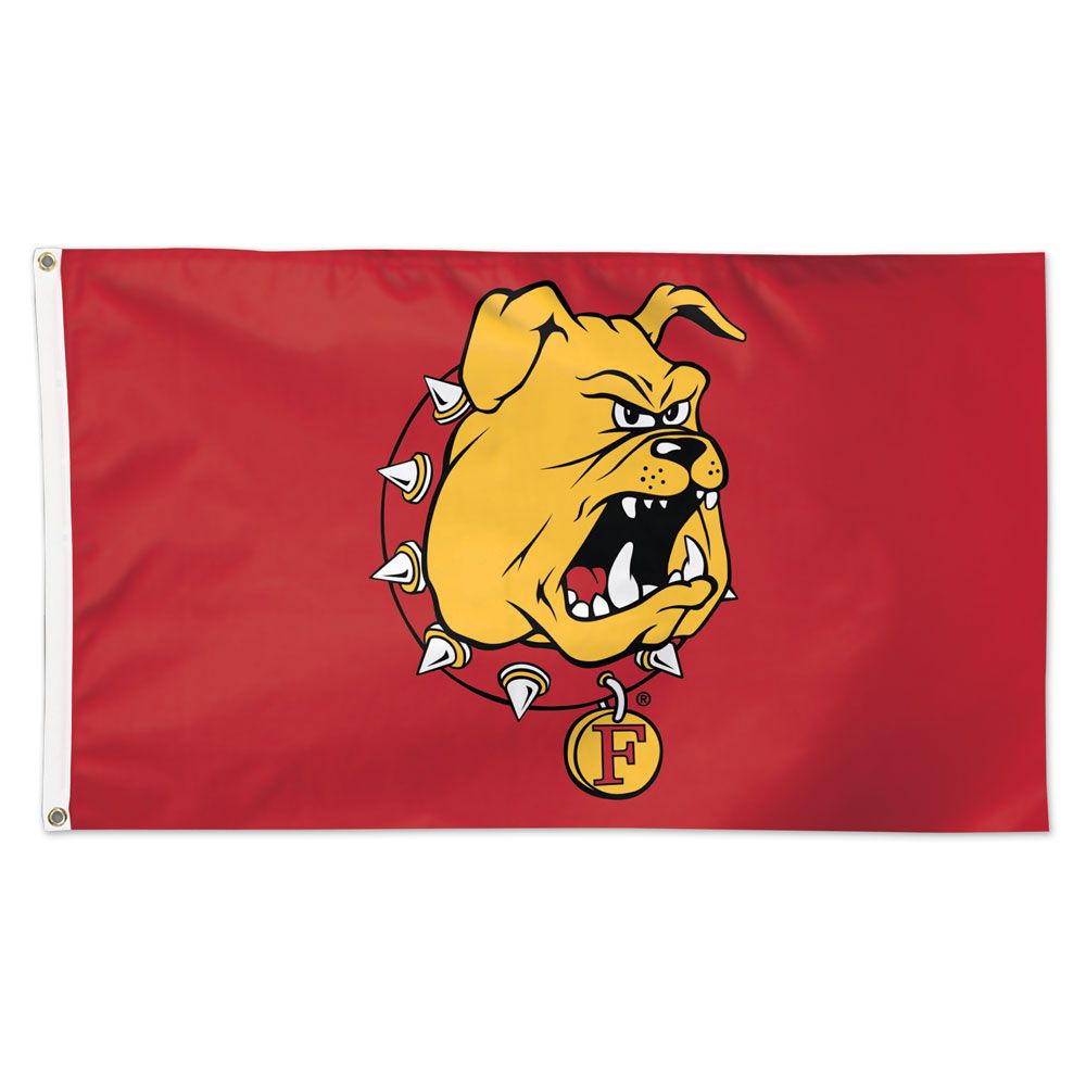 Minnesota Vikings Americana Deluxe 3' x 5' Flag