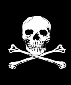 Pirate 2"X3" Poly Flag