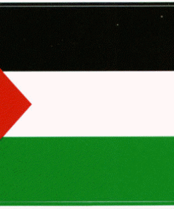 Palestine 3 1/2" x 4 3/4" Vinyl Decal