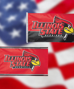 Illinois State