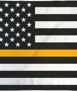 Thin Gold Line USA 3x5' Flag