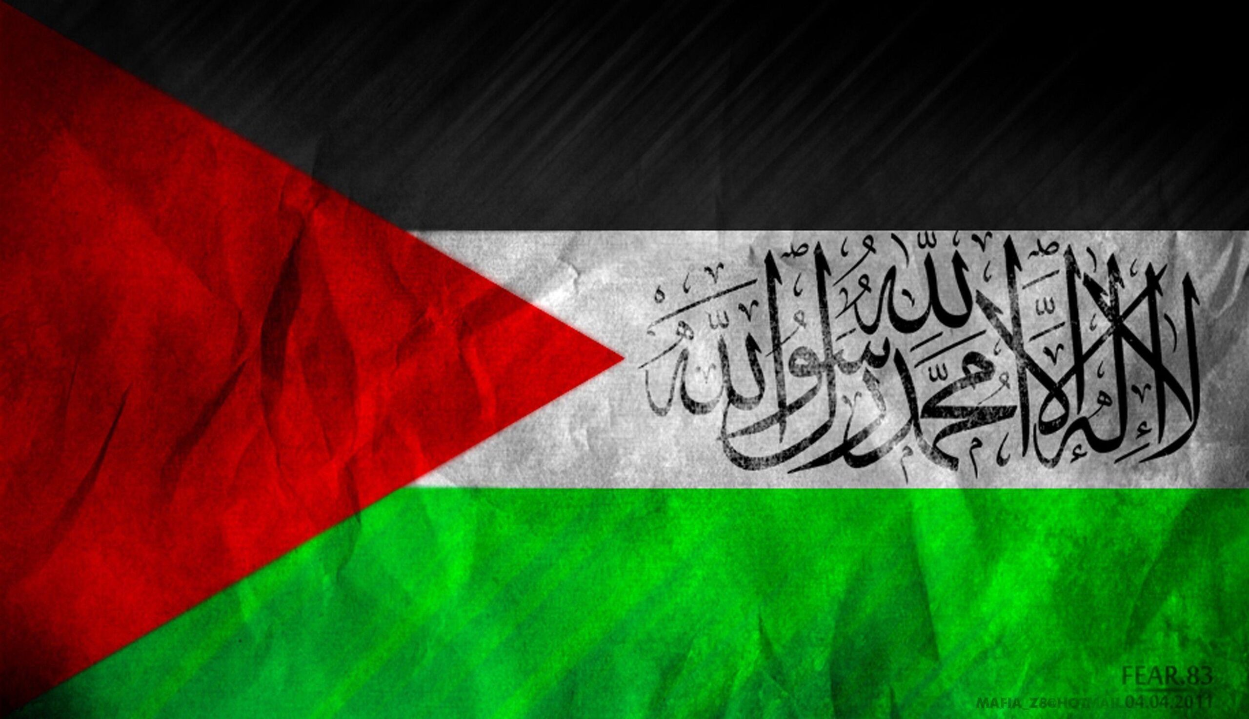American Flag by Fly-a-Flag, Designed to attach to Palestine