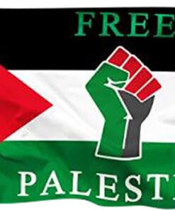 Free Palestine Fist Poly Flag