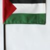 Palestine Stick Flag, Palestine 4"x6" Desk Stick Flag, Palestine Desk Stick Flag, Palestinians 4in x 6in Handheld Stick Flags, Palestinians Handheld Flag,