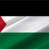 Palestine 5'x8' Poly Flag