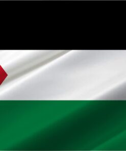 Palestine 5'x8' Poly Flag