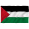 Palestinian 4'x6' Ply Flag