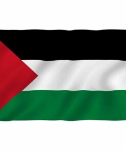 Palestinian 4'x6' Ply Flag