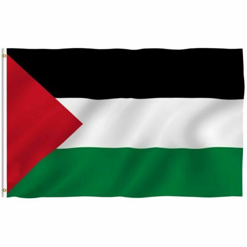 Palestinian 4'x6' Ply Flag