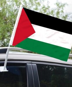 Palestinian Car Flag