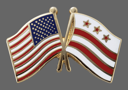 District of Columbia Friendship Lapel Pin, District of Columbia Flag Crossed Lapel Pin, District of Columbia Lapel Pin Friendship, District of Columbia Crossed Flag Pin