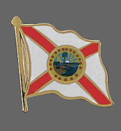 Florida State Lapel Pin, Florida Flag Lapel Pin, Florida Lapel Pin, Florida Flag Pin